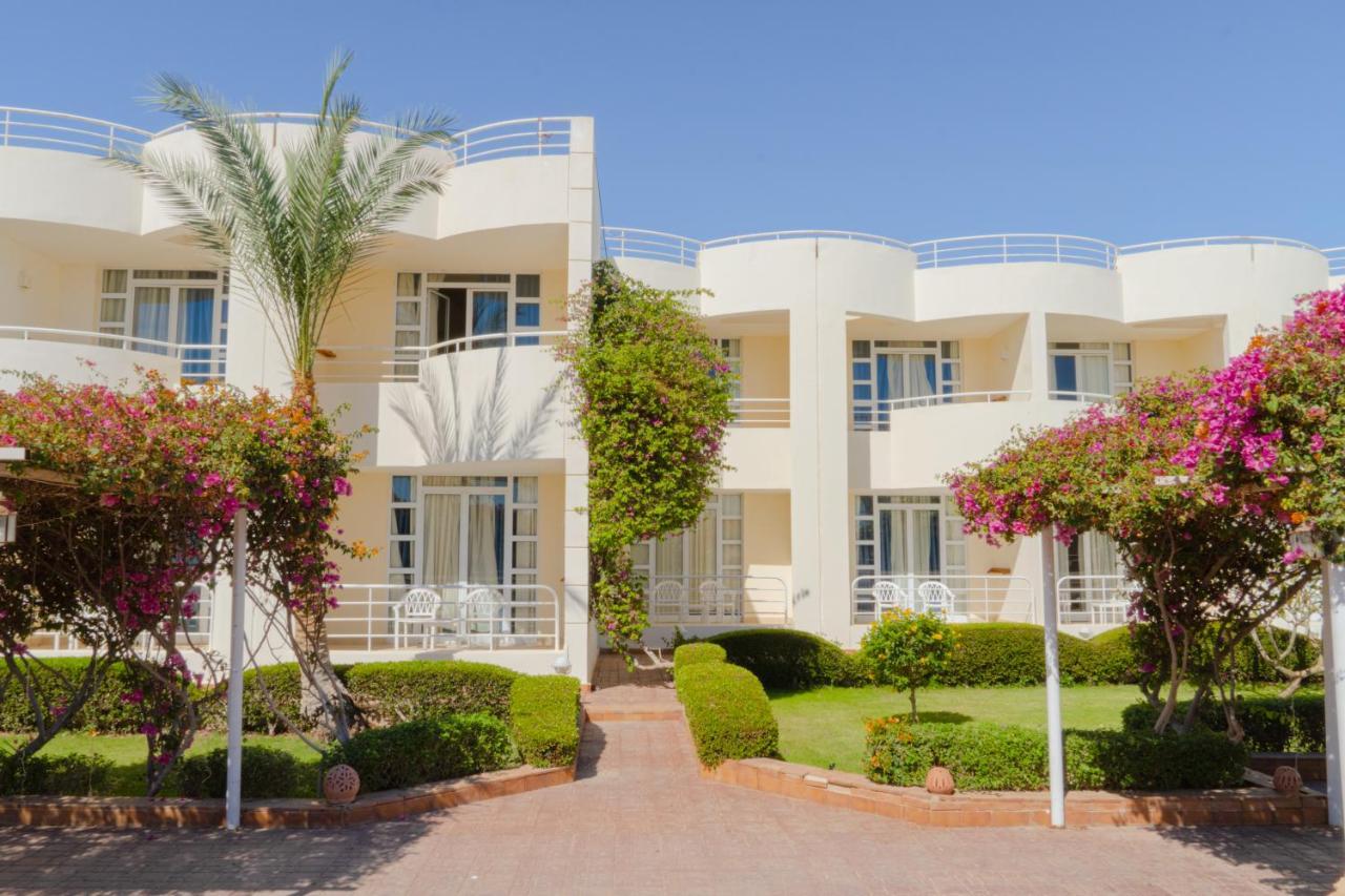 Sharm Reef Hotel Exteriör bild