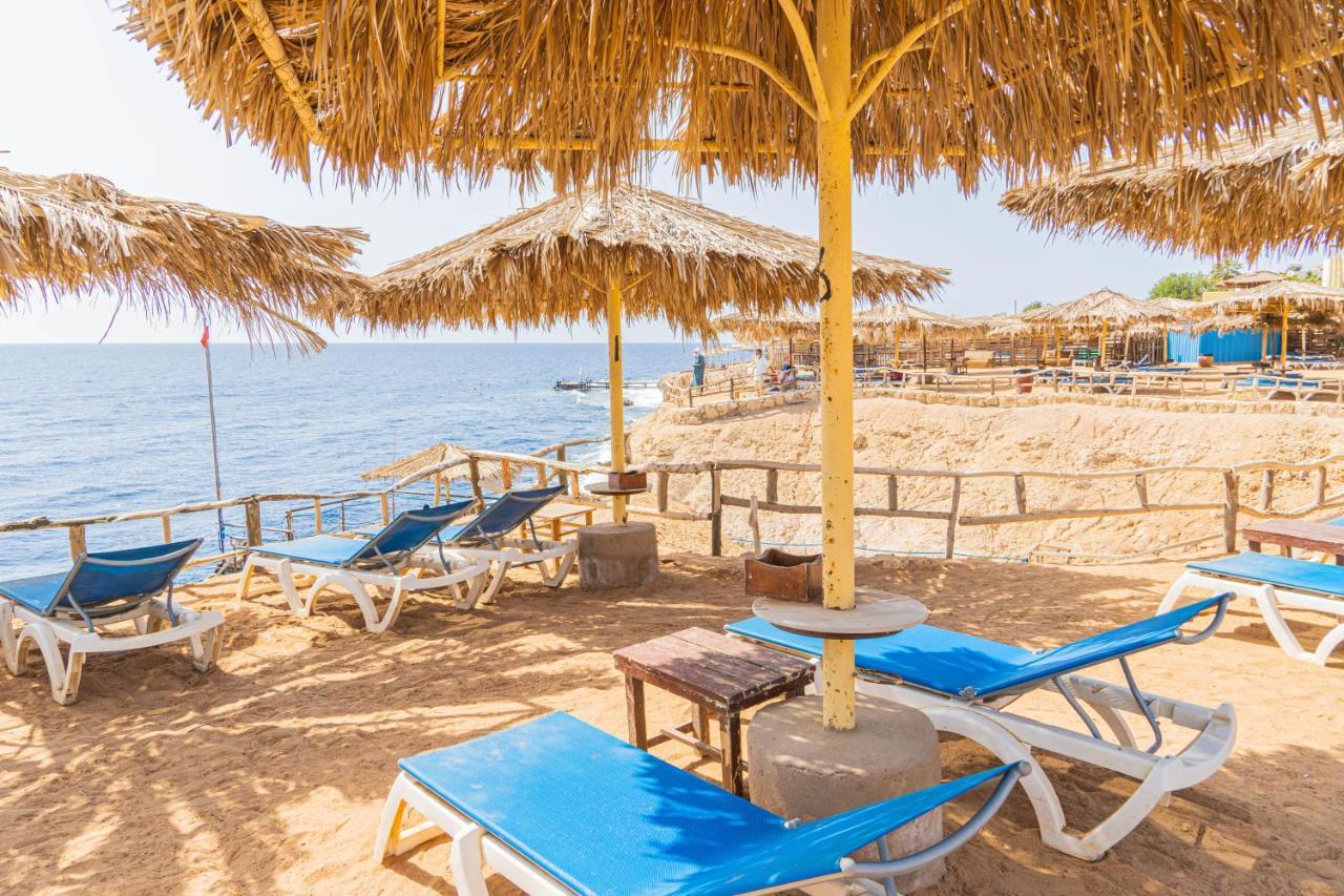 Sharm Reef Hotel Exteriör bild