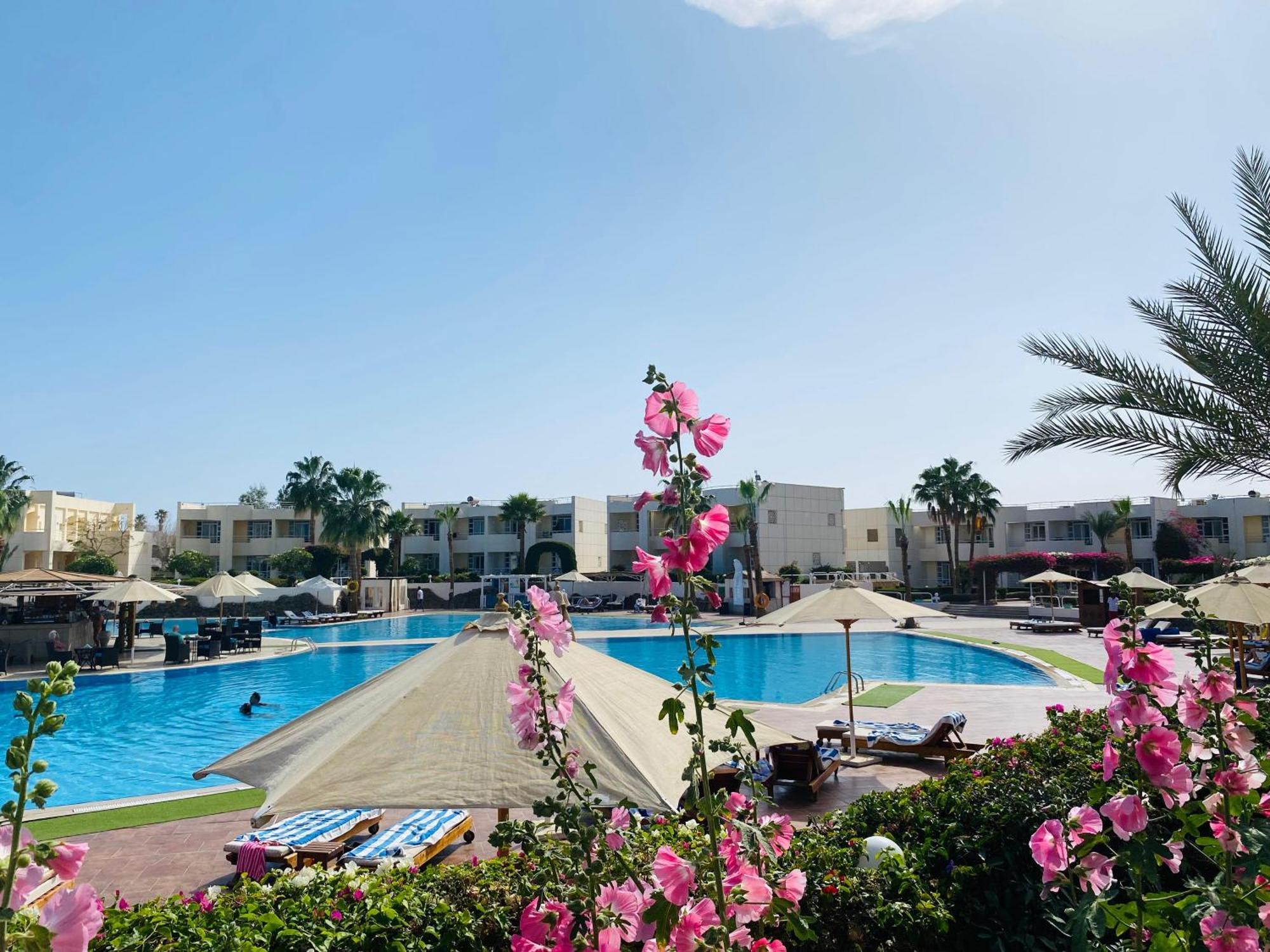 Sharm Reef Hotel Exteriör bild