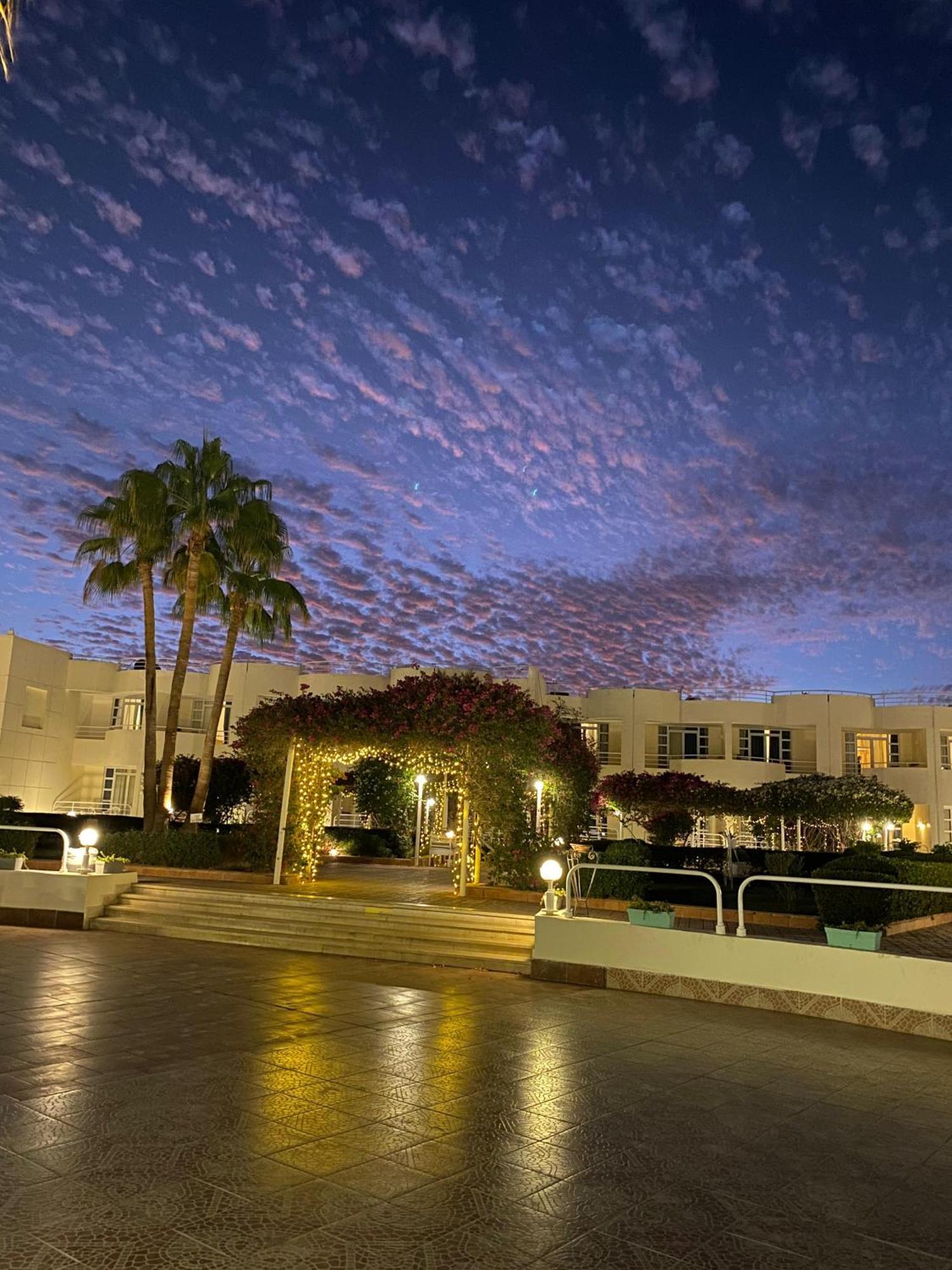 Sharm Reef Hotel Exteriör bild