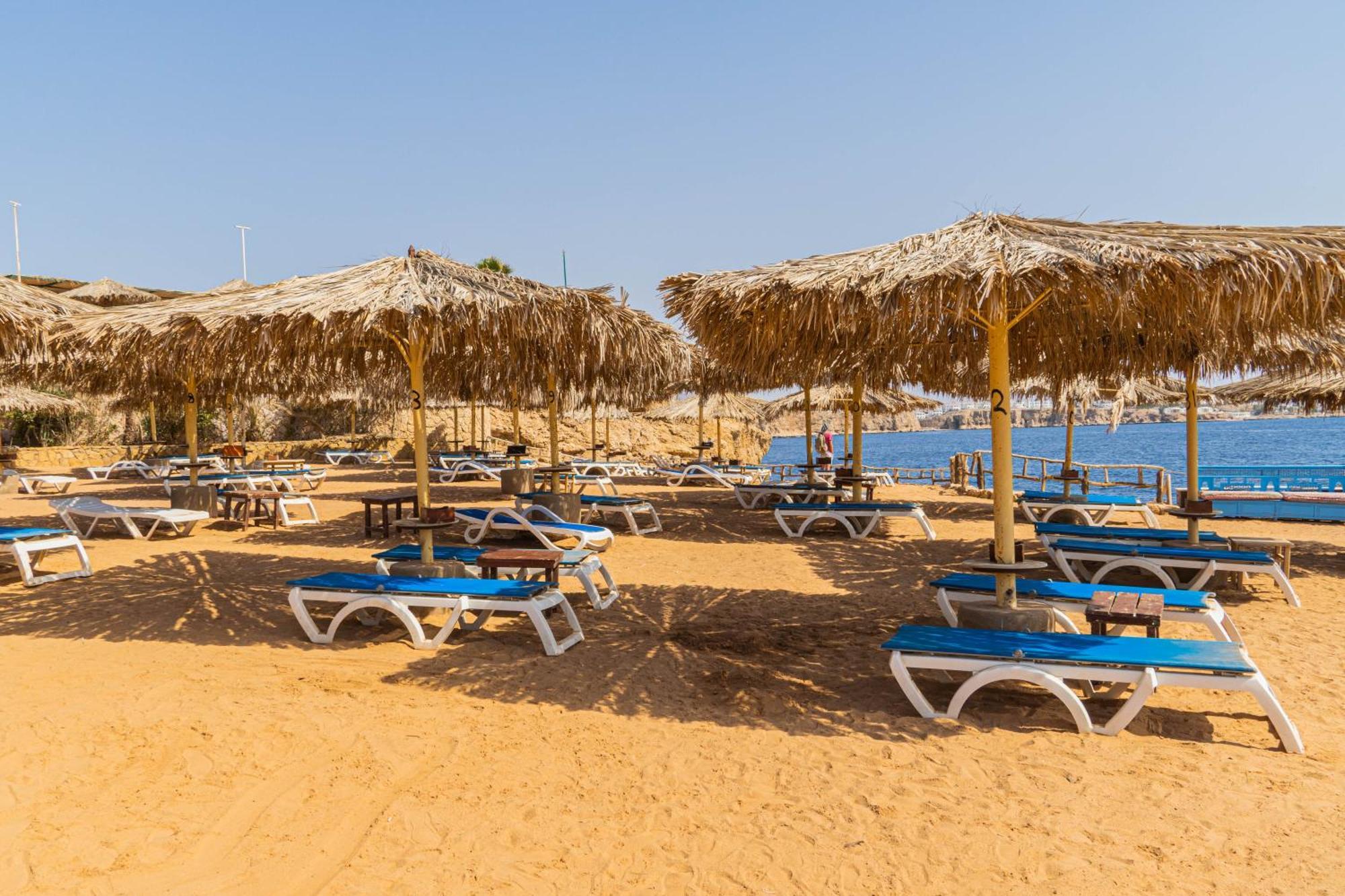 Sharm Reef Hotel Exteriör bild
